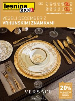 122015lesnina03