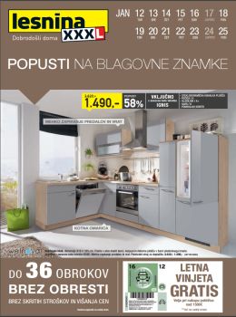 012016lesnina03