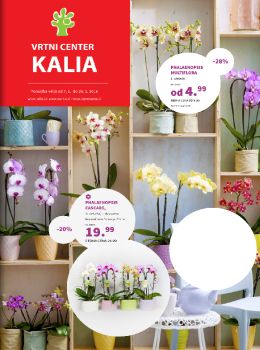kaliaslika