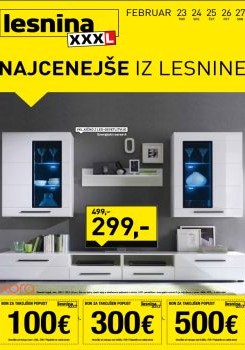 022016lesnina02