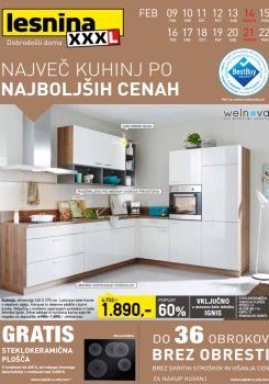 022016lesnina03