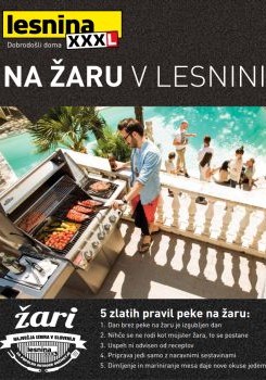 052016lesnina