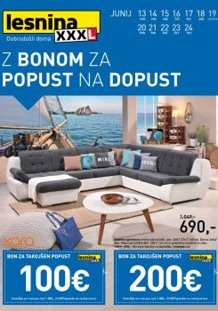 062016lesnina04