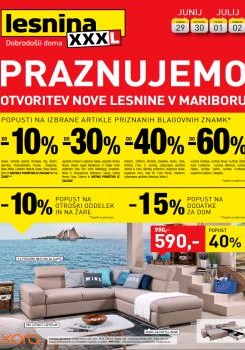 27062016lesnina1