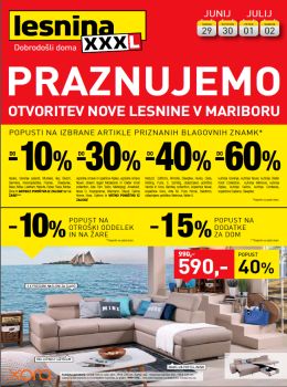 27062016lesnina1