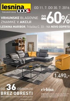 072016lesnina02