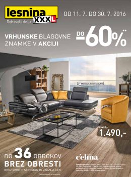 072016lesnina03