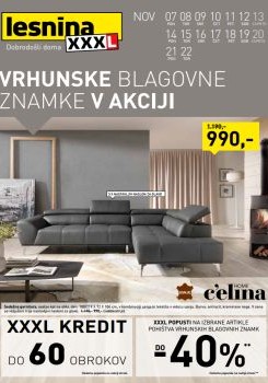 112016lesnina06