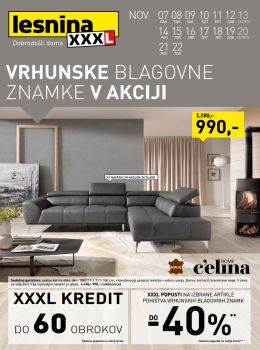 112016lesnina06