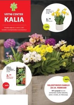 022017kalia