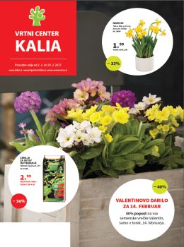 022017kalia