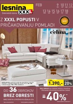 022017lesnina02