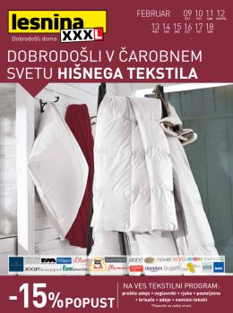 022017lesnina04