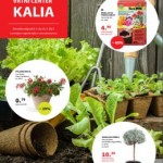 Kalia katalog