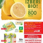 Spar katalog