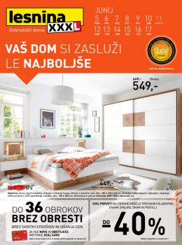 062017lesnina03