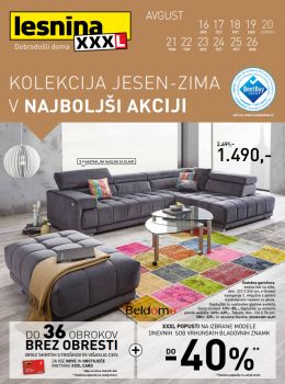 082017lesnina03