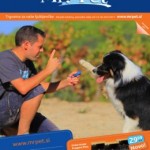 Mr.Pet katalog